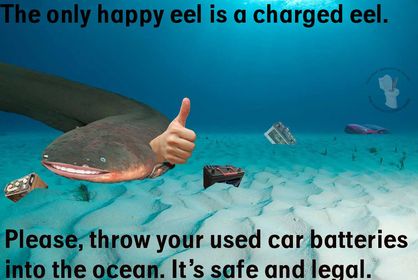 The meme is a humorous image of a fish (specifically an eel) with a speech bubble saying "In space, no one can hear you scream" - a reference to the famous movie line from "Aliens". However, the eel has been altered to say "In space, no one can hear you scream... but in a pond, a fish can hear you scream... because I'M A FISH, AND I'M GOING TO EAT YOU!" The text at the top of the image reads "The only thing we have to fear is fear itself... and also being eaten by a fish".